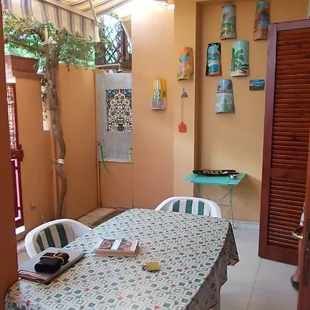 Violet Garden - * וילסימיוס