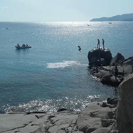 Violet Garden - בית נופש